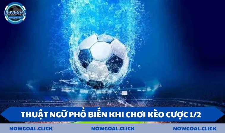 Thuật ngữ phổ biến khi chơi kèo cược 1/2